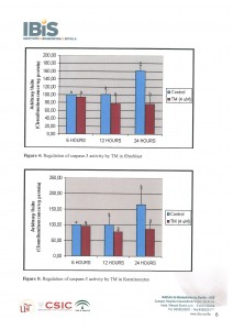 Scientific Report_TergumMaximum 6